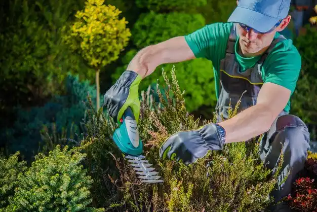 landscaping services Hewlett Bay Park